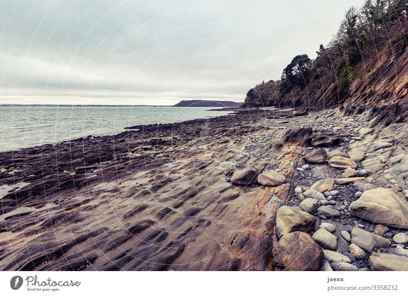 Felsenküste bei Brest Wasser Bretagne Weitwinkel Tag Außenaufnahme braun Menschenleer Schönes Wetter Horizont Landschaft Himmel außenaufname Meer Steine