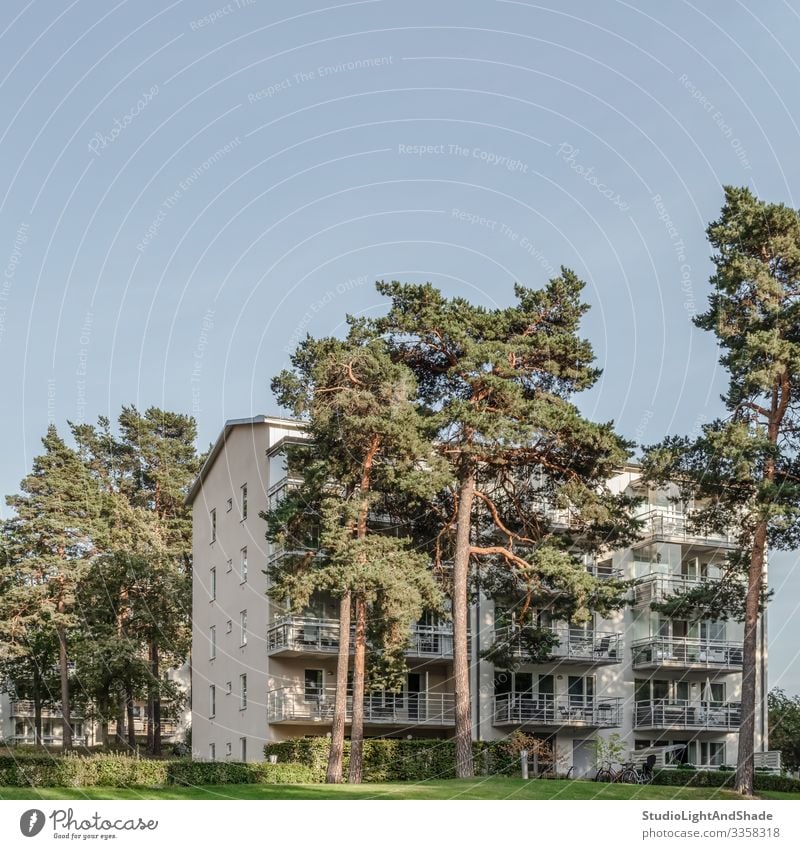 Kiefern und Wohngebäude Lifestyle Haus Umwelt Pflanze Himmel Baum Stadt Gebäude Architektur Fassade Balkon modern Sauberkeit blau grün nadelhaltig Europa