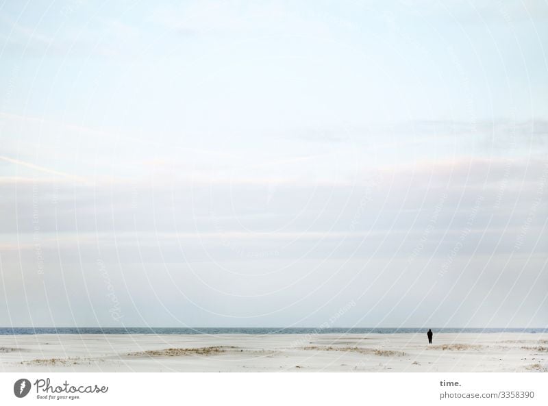 frische Brise Mensch 1 Umwelt Natur Landschaft Sand Wasser Himmel Wolken Horizont Küste Strand Nordsee Düne Spiekeroog beobachten Blick stehen maritim Neugier