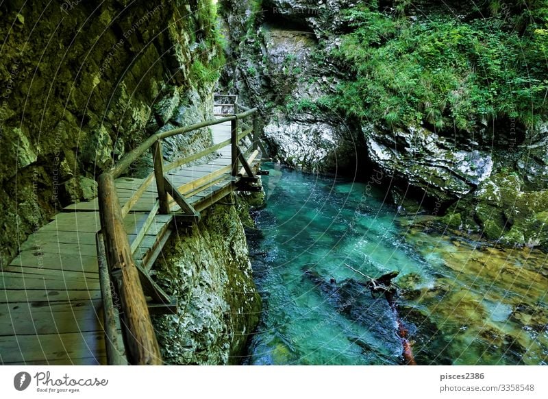 Holzpfad durch die Vintgar-Schlucht und den schönen Fluss Radovna Ferien & Urlaub & Reisen Tourismus Sommer wandern Umwelt Natur Landschaft Moos Park Felsen