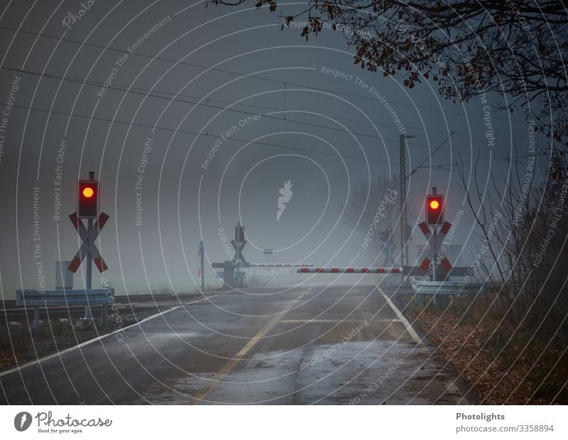 Bahnübergang Umwelt Wolken Herbst schlechtes Wetter Nebel Regen Menschenleer Bahnhof Verkehr Verkehrswege Güterverkehr & Logistik Bahnfahren Schienenverkehr