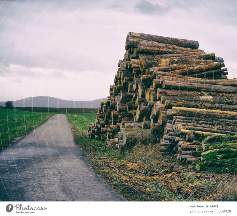 Gestapeltes Brennholz neben einer kleinen Straße ruhig Umwelt Natur Landschaft Pflanze Himmel Gras Verkehr Wege & Pfade lang Stapel Holz Landstraße Hochkultur