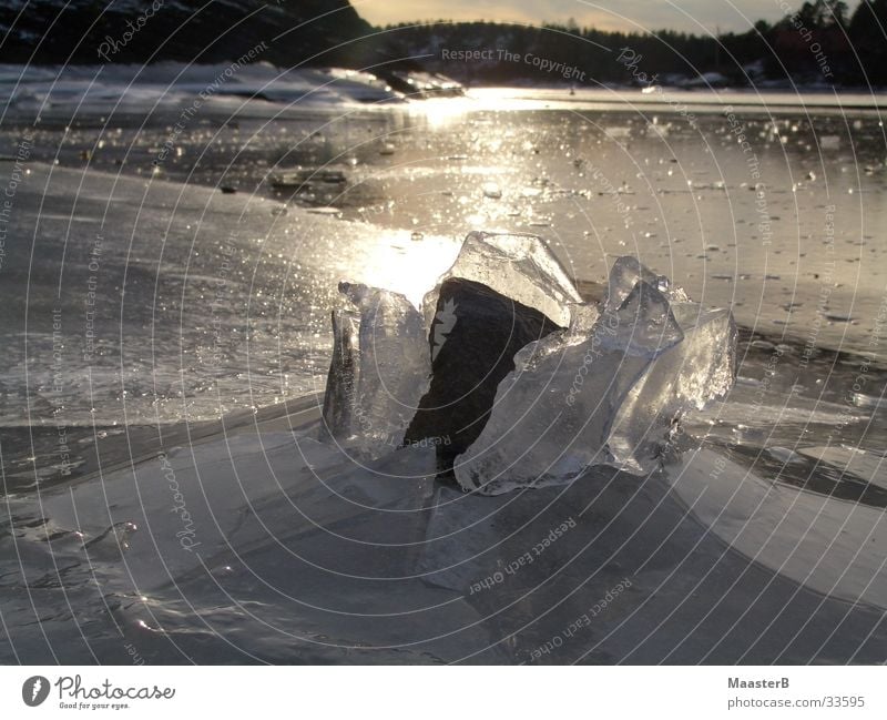 cracking the ice Insel Natur Eis Frost Fjord Norwegen Stein Kraft bizarr Eisfläche Sandvika gebrochenes Eis Außenaufnahme Menschenleer Dämmerung