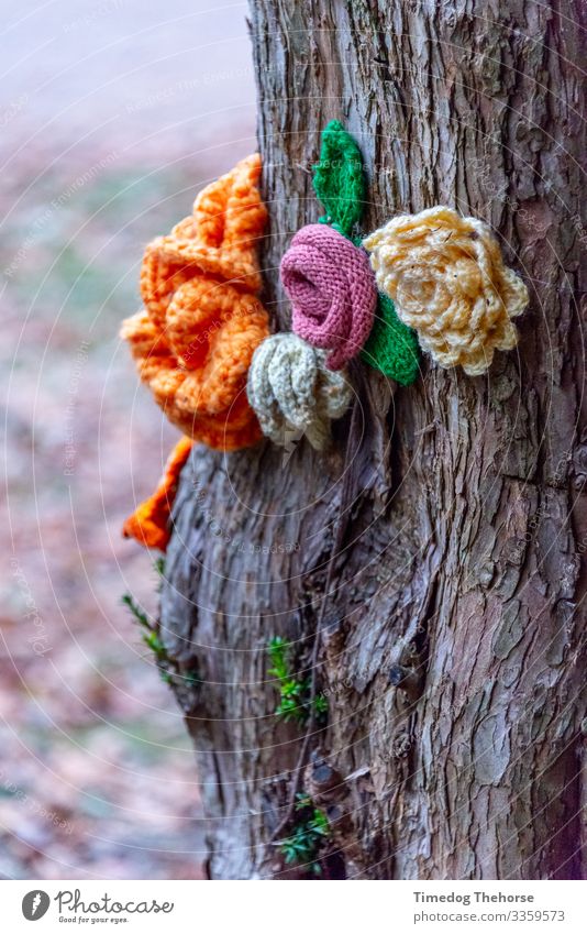 Gestrickte Blume Erholung stricken Dekoration & Verzierung Pflanze Baum Blüte Stoff Liebe Wachstum weich Frieden Rinde Überstrahlung Botanik Kinderblume