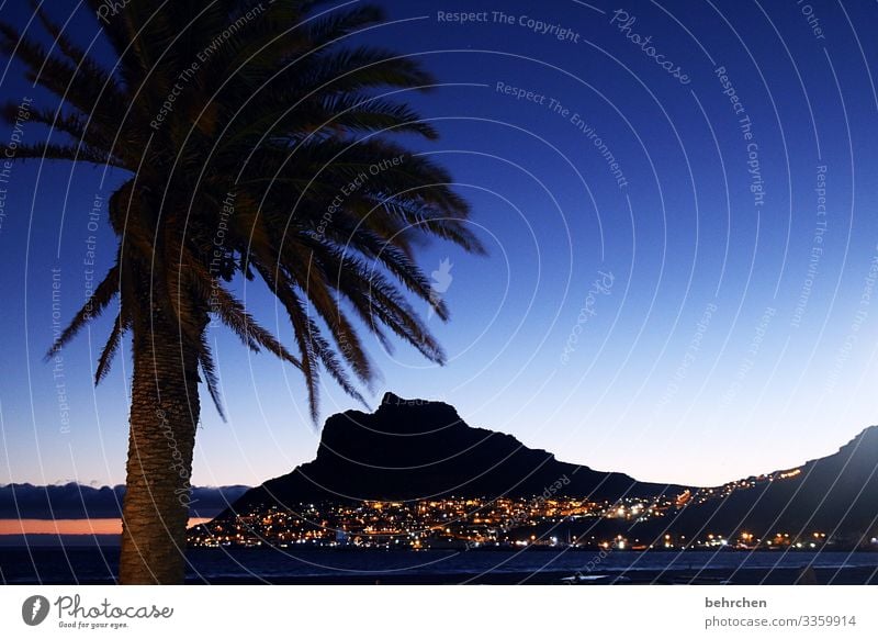 wenn es nacht wird im paradies Sonne Optimismus Hoffnung traumhaft wunderschön Hout Bay Dämmerung Sonnenuntergang Kontrast Licht Außenaufnahme Farbfoto Kapstadt