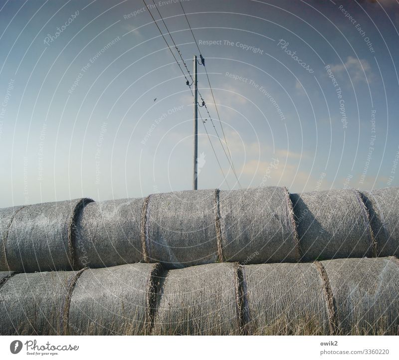 Dick und doof Umwelt Landschaft Himmel Wolken Schönes Wetter Strohballen Strommast Kabel Hochspannungsleitung dick dünn viele Farbfoto Außenaufnahme