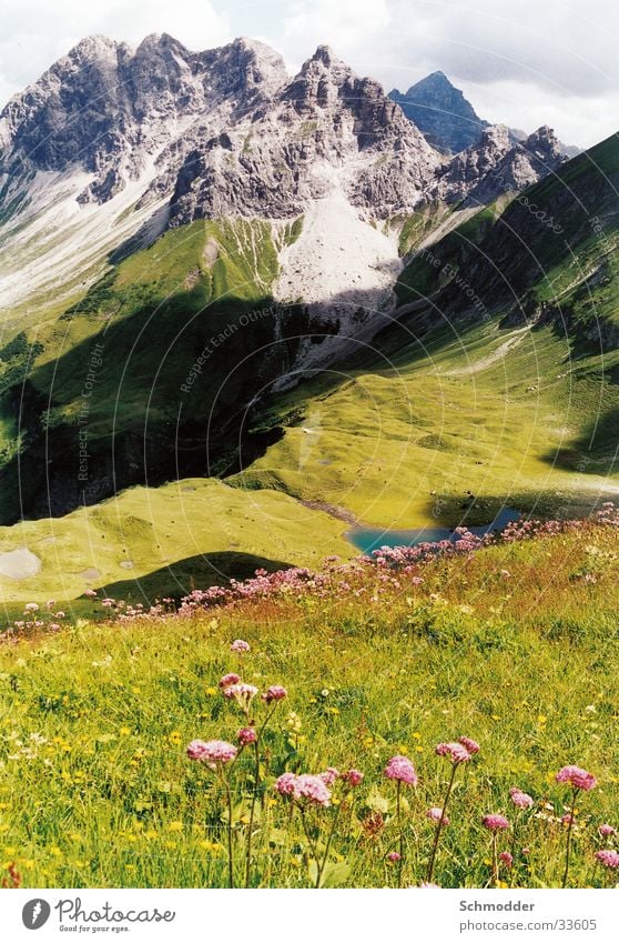 Berglandschaft Wiese Blume Wolken Berge u. Gebirge Pflanze Ferne Gebrige