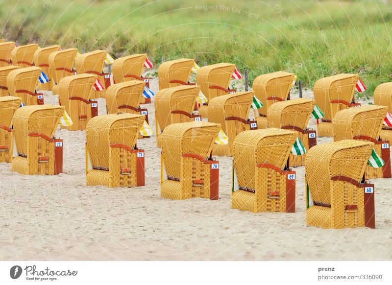 menschenleer Umwelt Landschaft Sommer Küste Strand gelb grün Strandkorb Düne Farbfoto Außenaufnahme Menschenleer Textfreiraum unten Tag Starke Tiefenschärfe