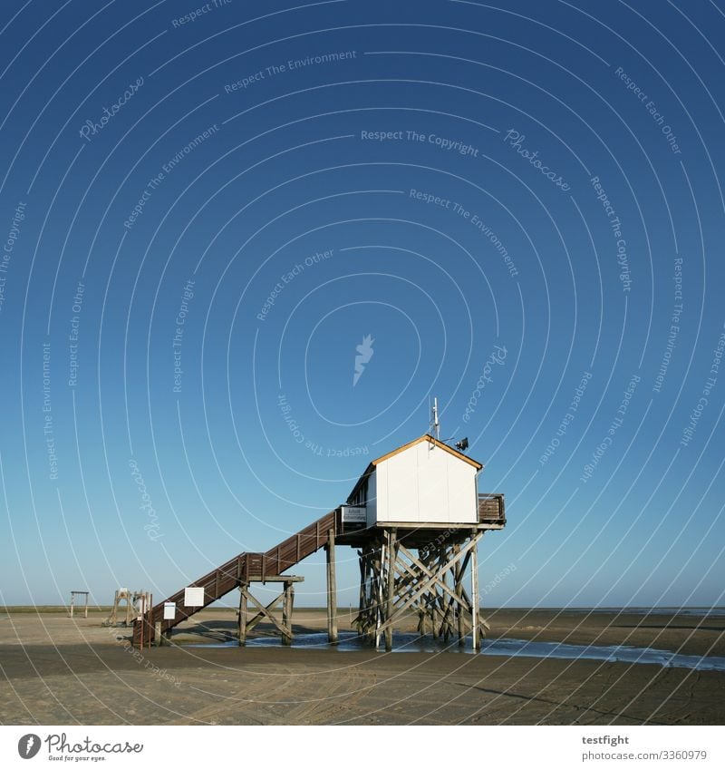 Sankt Peter Ording Strand Watt Ebbe Gebäude Pfahlbauten Natur Umwelt Nordsee Urlaub wandern Sonne gutes Wetter Himmel blau