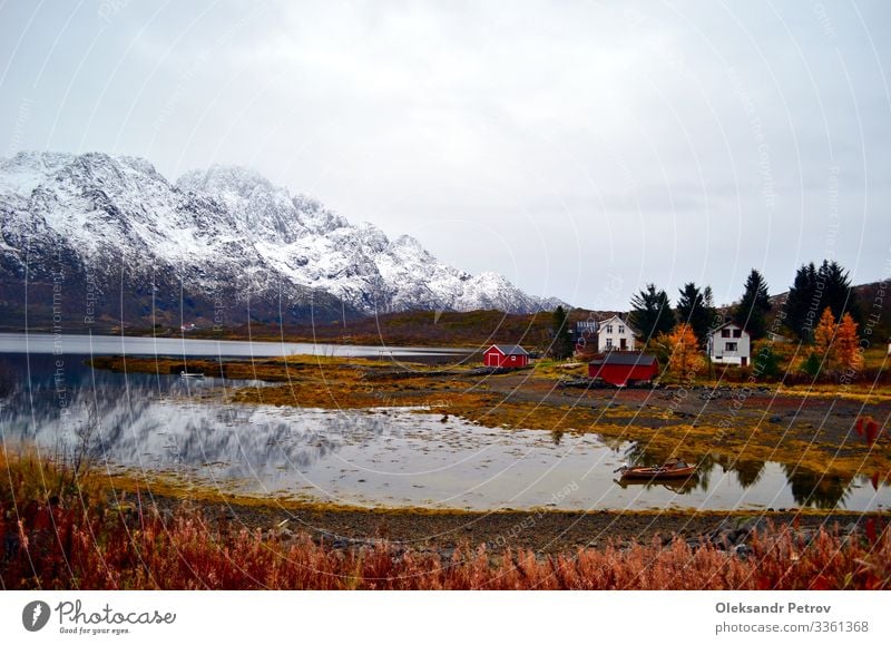 Ebbe im Fjord mit Blick auf die Berge und Häuser am Ufer schön ruhig Ferien & Urlaub & Reisen Tourismus Winter Schnee Berge u. Gebirge Natur Landschaft Pflanze