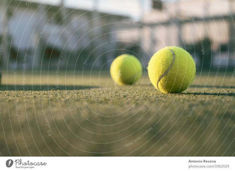 Paddle-Tennis-Objekte auf dem Platz, Bälle im Freien Erholung Freizeit & Hobby Spielen Sport gelb Paddeltennis Padel Ball Remmidemmi Gerichtsgebäude Tennisball