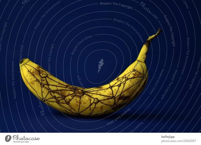 relativitätstheorie Lebensmittel Frucht Ernährung Bioprodukte Vegetarische Ernährung Natur Kommunizieren Wissenschaften Relativitätstheorie Biegung Zeit Banane