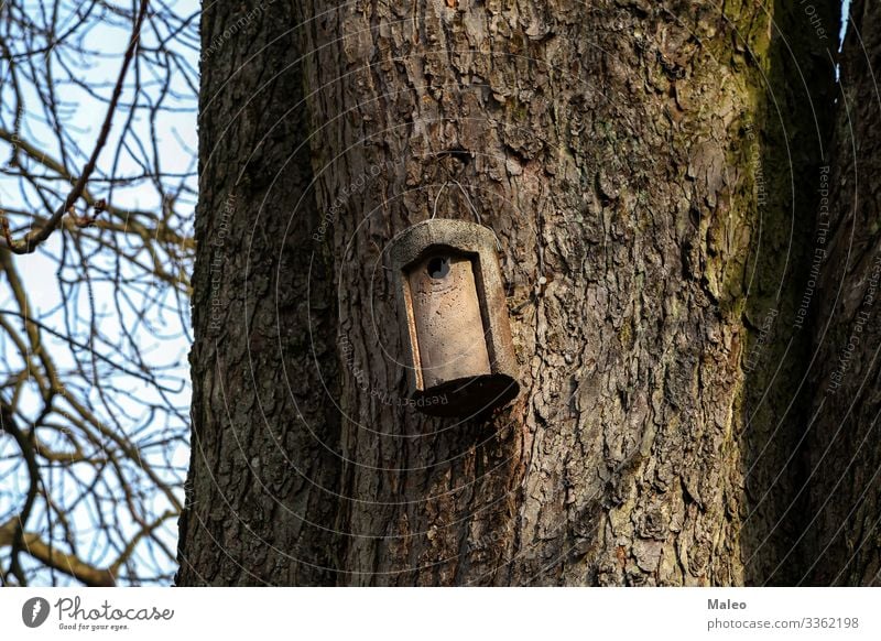 Vogelhaus Nest Futterhäuschen Kasten Haus Natur Baum Wildtier wild Tier Frühling selbstgemacht natürlich Vogelschau Garten Lebensraum Schutz Baustelle Loch Wald