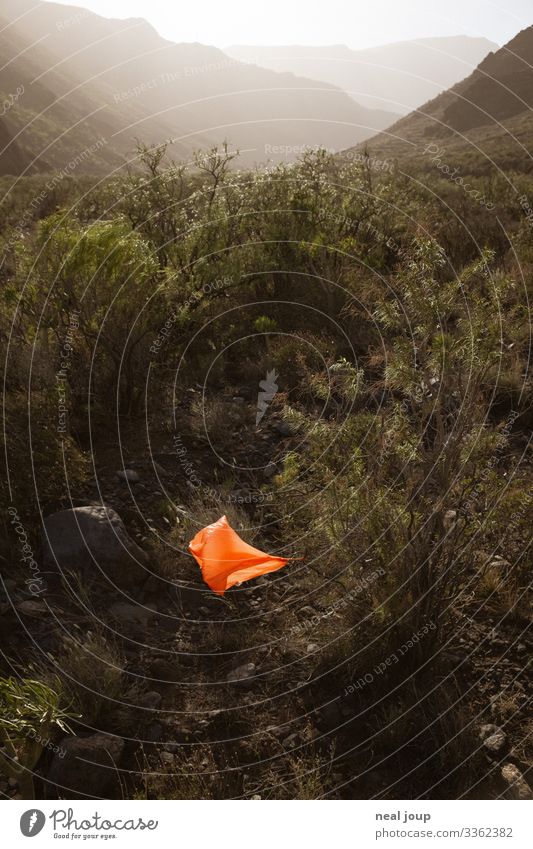 Elegantly wasted -VI- Umwelt Natur Landschaft Sonnenlicht Sträucher Berge u. Gebirge Verpackung Plastiktüte Müll Kunststoff hängen trashig trist orange