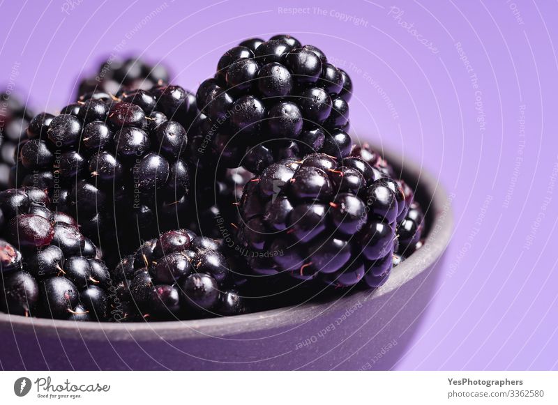 Brombeeren in Nahaufnahme. Reife Brombeerfrüchte Lebensmittel Frucht Dessert Bioprodukte lecker natürlich Beeren Schale Brombeeren farbenfroh Textfreiraum