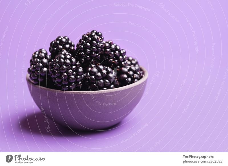 Brombeeren in einer Schale auf violettem Hintergrund Frucht Dessert Bioprodukte lecker natürlich Beeren Brombeerfrüchte Schale Brombeeren farbenfroh