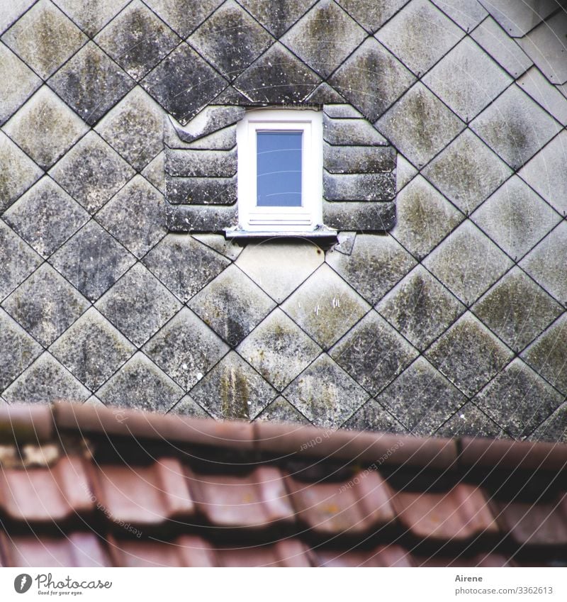 passt schon irgendwie Stadt Altstadt Haus Fassade Fenster Dach Fassadenverkleidung Schiefer Ziegeldach Loch winzig Andeutung Fälschung Fensterladen alt