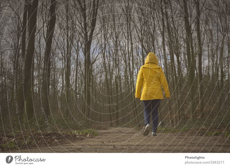 Wohin? Mensch feminin Frau Erwachsene 1 45-60 Jahre Umwelt Natur Landschaft Winter Baum Feld Wald Wege & Pfade Regenjacke Bewegung gehen laufen wandern dunkel