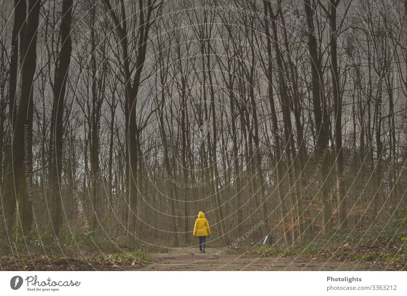 Allein Freiheit wandern Mensch feminin Frau Erwachsene 1 45-60 Jahre Umwelt Natur Landschaft Erde Baum Wald gehen braun gelb grau grün schwarz weiß laufen