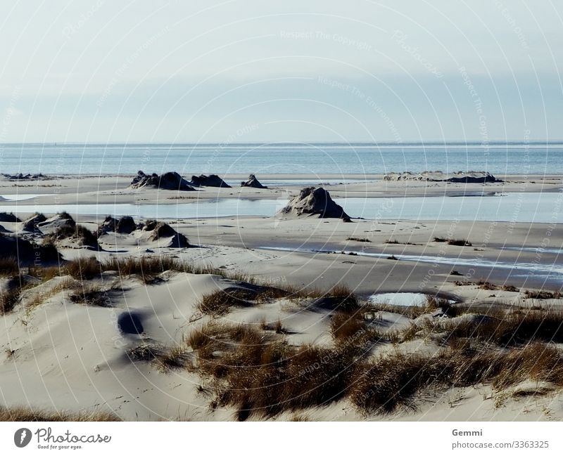 Nach dem Sturm Umwelt Natur Landschaft Sand Wasser Himmel Wolken Winter Klimawandel Wetter Gras Küste Strand Nordsee Meer Insel Erholung Ferne Unendlichkeit