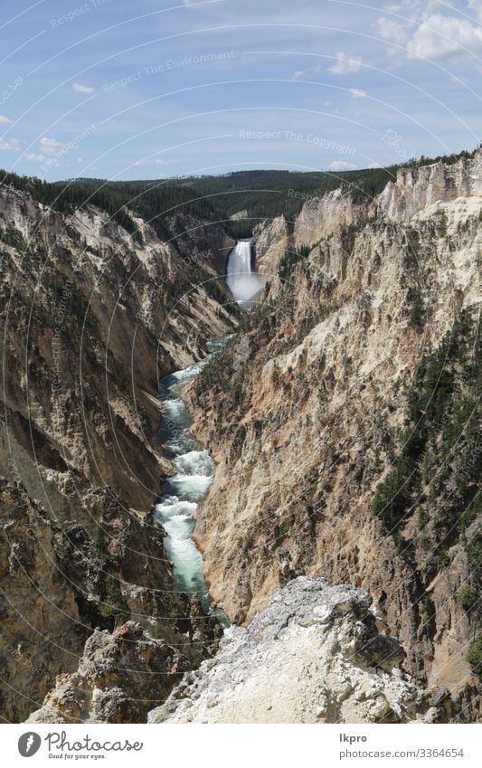 yellowstone nationalpark die natur Schwimmbad Ferien & Urlaub & Reisen Tourismus Berge u. Gebirge Natur Landschaft Park Wald Vulkan heiß natürlich