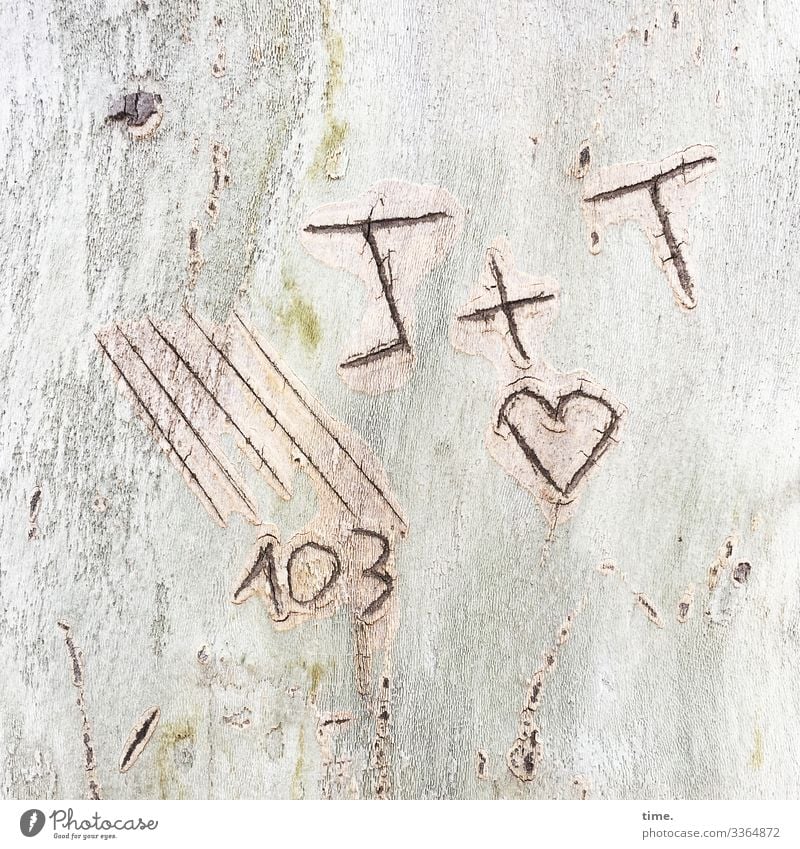 Geheimcode Buchstabe striche herz baum rinde liebe tageslicht grafitti geritzt 103 T pluszeichen addition verliebt romantik geheim botschaft irritation rätsel