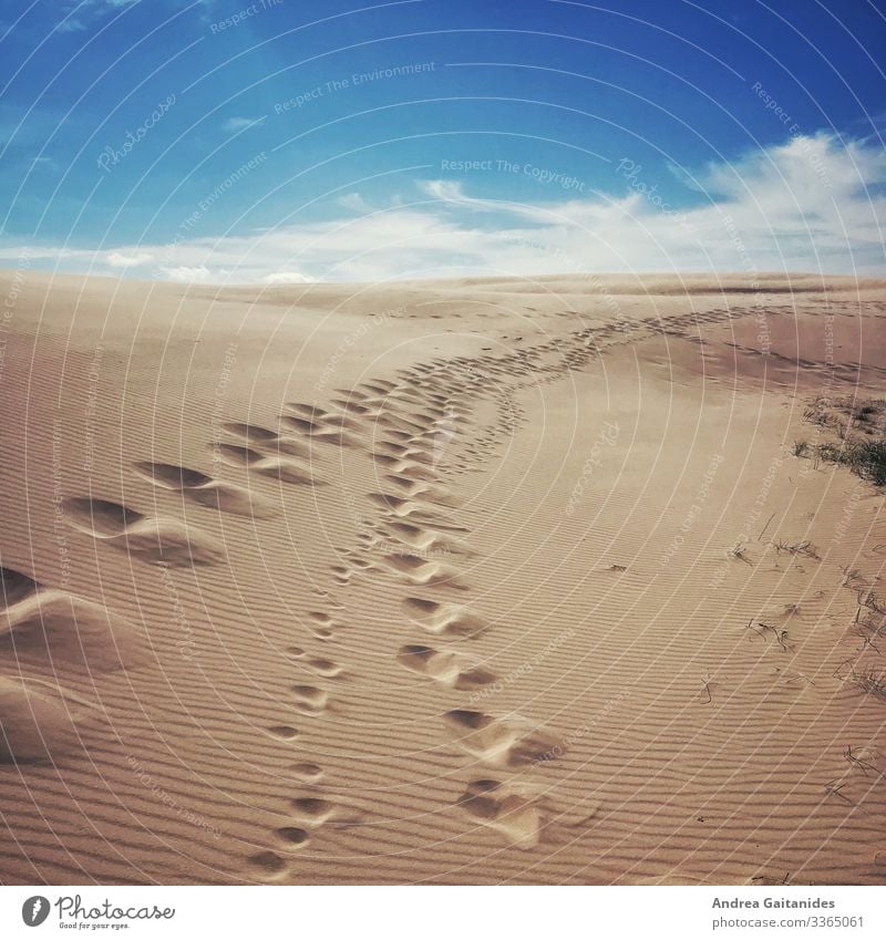 Wanderdüne in Dänemark (Råbjerg Mile) - auch mal nach hinten geschaut Landschaft Sand Himmel Wolken Horizont Schönes Wetter Düne Skagen gehen fantastisch