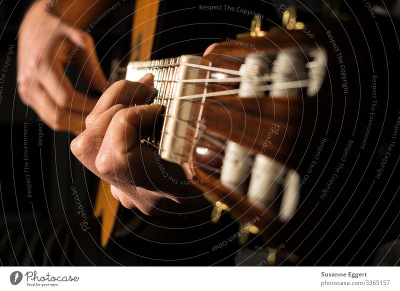 Gitarrenspiel musizieren Leidenschaft Musik Musiker Musikinstrument musisch Gitarrenspieler Gitarrenhals Gitarrensaite Gitarre spielen Gitarrengriff