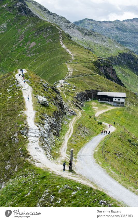 Kletterweg Ferien & Urlaub & Reisen Tourismus Ausflug Abenteuer Expedition Berge u. Gebirge wandern Natur Alm Weide Berghütte Bergkamm Wege & Pfade Abzweigung