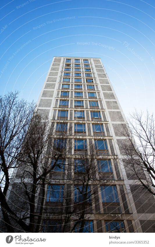 hoch hinaus Wolkenloser Himmel Winter Schönes Wetter Baum Wuppertal Hochhaus Bauwerk Architektur Fassade authentisch Stadt blau grau Farbfoto Außenaufnahme