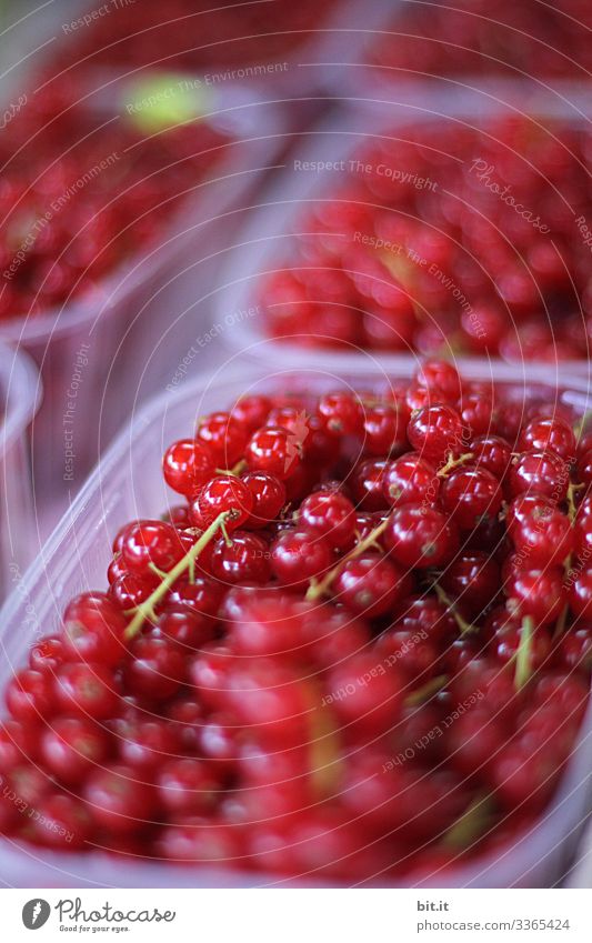 Gesundheit l frische Johannisbeeren Beeren rot Frucht Lebensmittel Ernährung lecker Sommer Gesunde Ernährung Vegetarische Ernährung Bioprodukte Natur sauer Diät