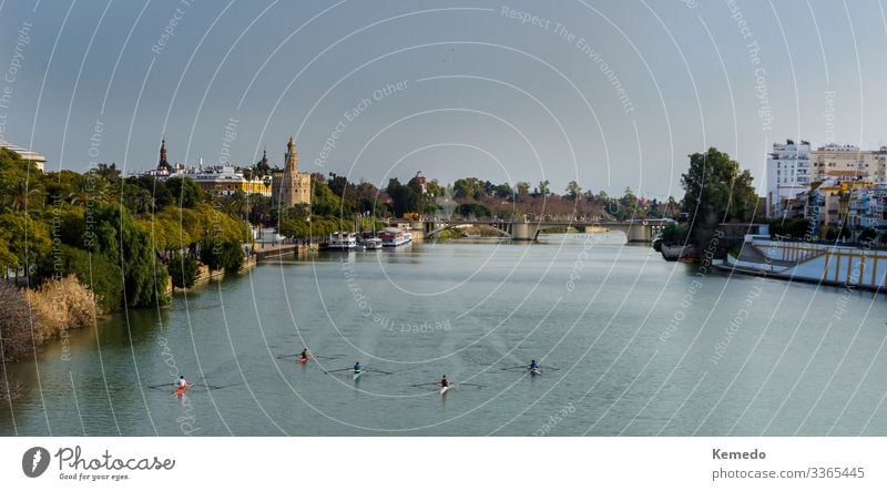 Blick auf den Goldenen Turm und den Fluss Guadalquivir, Sevilla, Spanien. Lifestyle Gesundheit Gesundheitswesen sportlich Wellness Leben harmonisch Erholung