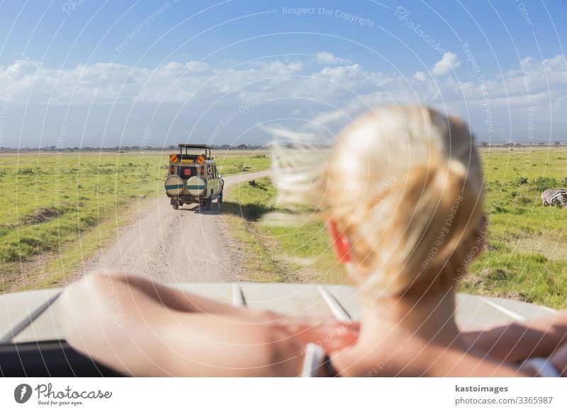 Frau im Jeep mit afrikanischer Wildtiersafari. Freude Freizeit & Hobby Ferien & Urlaub & Reisen Tourismus Ausflug Abenteuer Safari Erwachsene Natur Landschaft