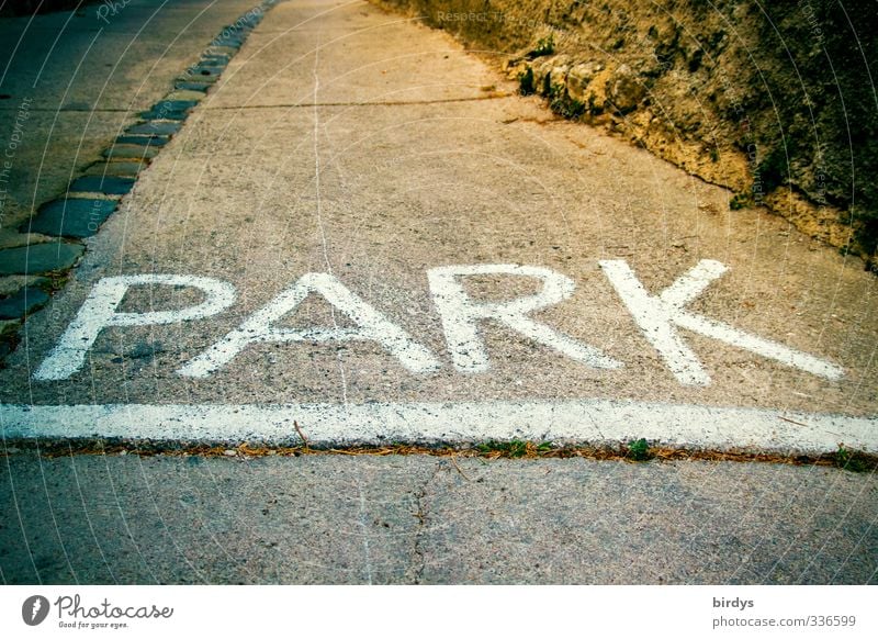 Parklane Straße Schriftzeichen Schilder & Markierungen Hinweisschild Warnschild leuchten groß Beginn Freizeit & Hobby Großbuchstabe Farbfoto Gedeckte Farben