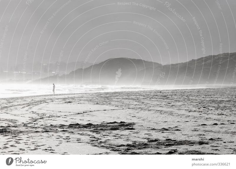 Keurboomstrand Natur Landschaft Tier Horizont Sonne Sommer Herbst Küste Strand Meer wild Sand Südafrika Ferne ruhig Gischt Mensch Schatten Berge u. Gebirge