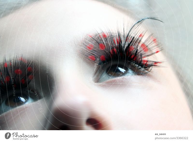 Lashes schön Kosmetik Schminke Wimperntusche Karneval Mädchen Junge Frau Jugendliche Auge 1 Mensch Schauspieler Show Kostüm brünett Vogel Blick exotisch rot