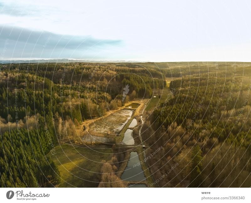 Bird's-eye view of Augsburg's Western Forests Natur Landschaft Wald Hügel gigantisch Augsburg Western Forests Burgwalden Fish farming animal bird copy space