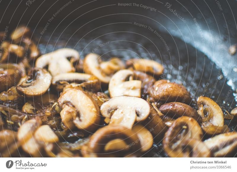 gebratene Champignons mit Zwiebeln in einer Pfanne Lebensmittel Ernährung Mittagessen Abendessen Bioprodukte Vegetarische Ernährung Slowfood Vegane Ernährung