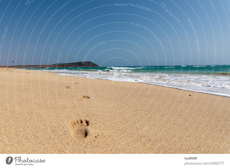 Spurensuche exotisch Sommer Sommerurlaub Sonne Strand Meer Insel Wellen Natur Landschaft Schönes Wetter Küste Wüste Schwimmen & Baden Bewegung Erholung laufen