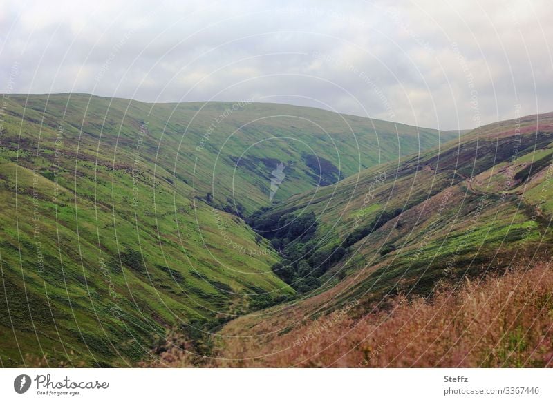 Schottische Hügel Schottland schottisch Tal Sommer in Schottland Klima Wolken Ruhe Stille schottischer Sommer schottisches Wetter Moos nordische Natur