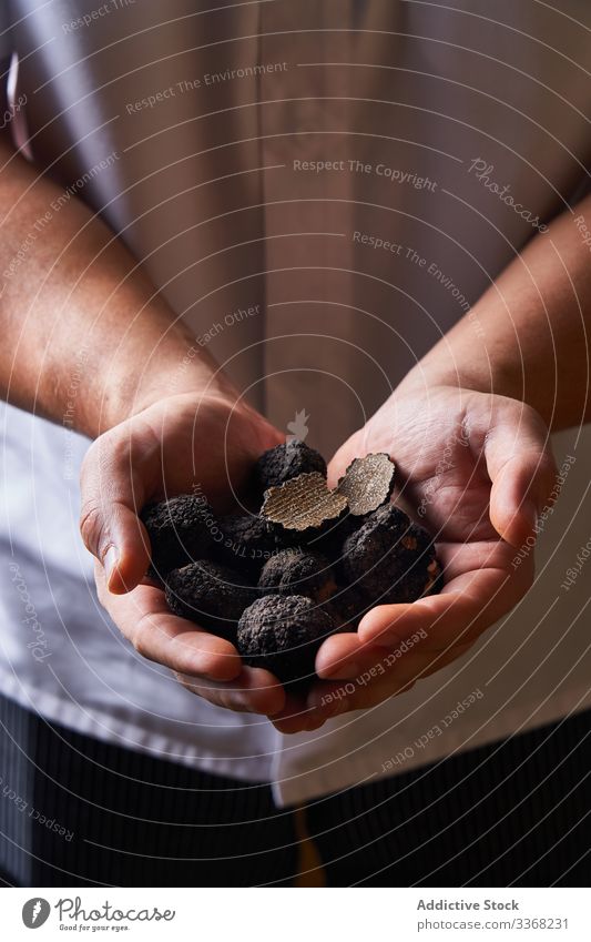 Pflanzenkoch zeigt frische Trüffel Küchenchef Bestandteil zeigen Handvoll Vorbereitung Koch Mann Lebensmittel Reichtum Exquisit Mahlzeit teuer Feinschmecker