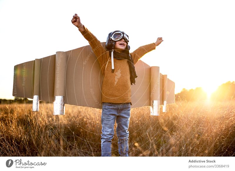 Fröhlicher kleiner Junge beim Fliegerspiel auf dem Land spielen träumen Spiel Landschaft Kind Schutzbrille Flügel Karton männlich Tracht Sohn Kindheit