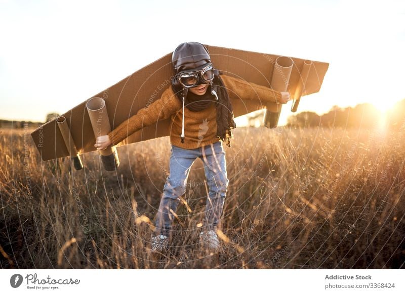 Fröhlicher kleiner Junge beim Fliegerspiel auf dem Land spielen träumen Spiel Landschaft Kind Schutzbrille Flügel Karton männlich Tracht Sohn Kindheit