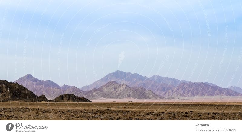 Berge in der Wüste Sharm El Sheikh Ägypten exotisch Ferien & Urlaub & Reisen Sommer Berge u. Gebirge Natur Landschaft Sand Himmel Horizont frei Blauer Himmel