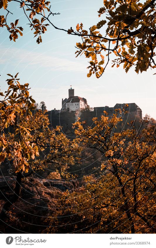 Wartburg in Thüringen Eisenach Zentralperspektive Sonnenlicht Tag Textfreiraum oben Menschenleer Wahrzeichen Denkmal Burg oder Schloss Sehenswürdigkeit