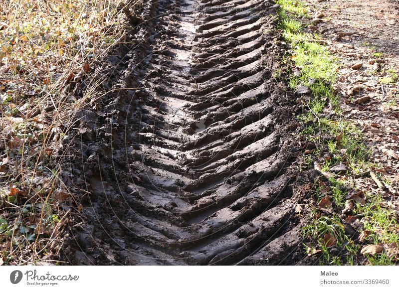 Profilspuren auf einer schmutzigen Straße PKW dreckig Feld Landschaft Muster Spuren Reifenprofil Fahrzeug Hintergrundbild Erde Gelände Strukturen & Formen