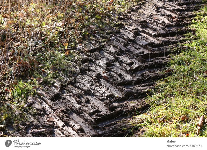 Profilspuren auf einer schmutzigen Straße PKW dreckig Feld Landschaft Muster Spuren Reifenprofil Fahrzeug Hintergrundbild Erde Gelände Strukturen & Formen