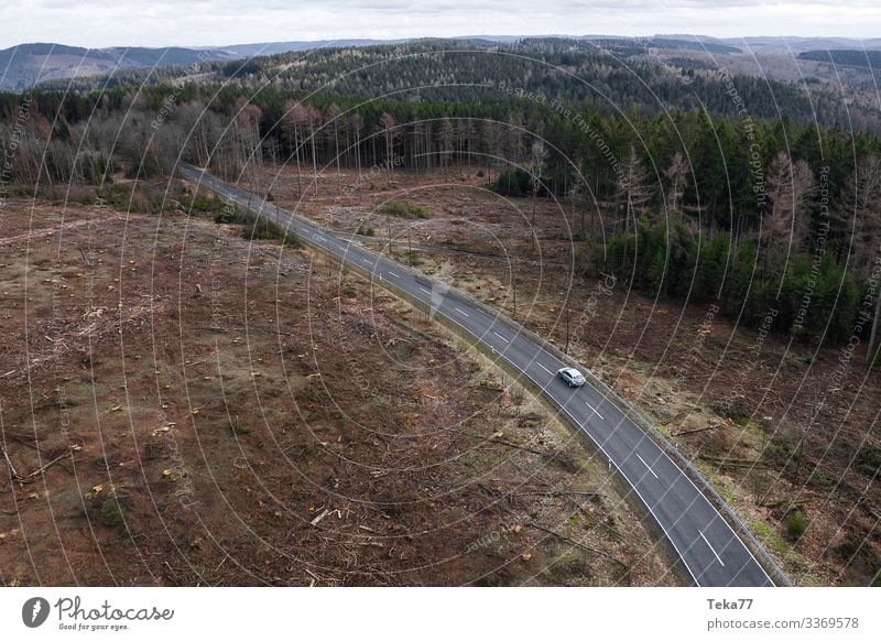 #Auto auf Straße von Oben im Waldland Winter Umwelt Natur Landschaft Pflanze Verkehr Verkehrsmittel Verkehrswege Autofahren Fahrzeug PKW ästhetisch Farbfoto