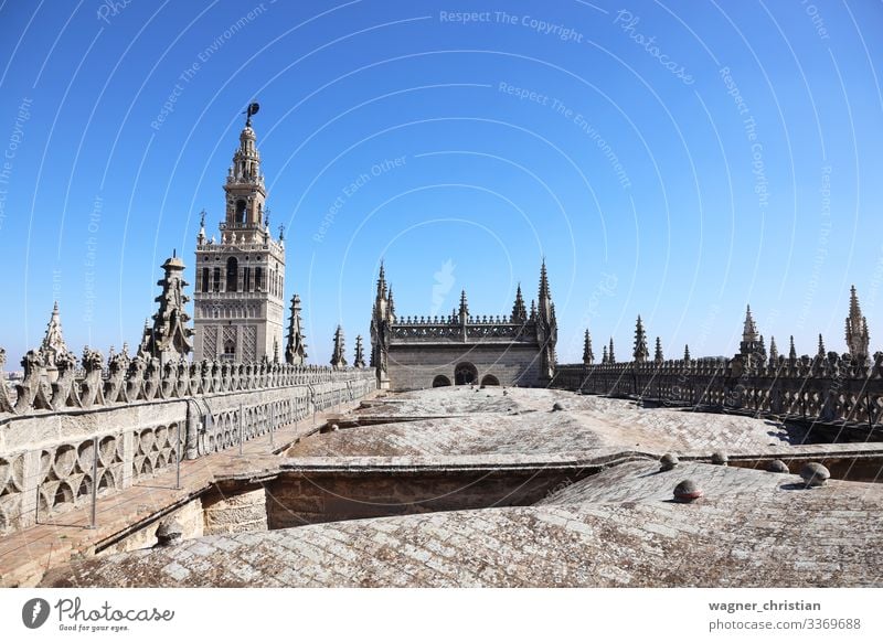 Giralda Tower + Seville Cathedral Roof Ferien & Urlaub & Reisen Tourismus Sightseeing Kirche Dom Dach Gateway Arch Sevilla Bell Tower Tourist Hintergrundbild