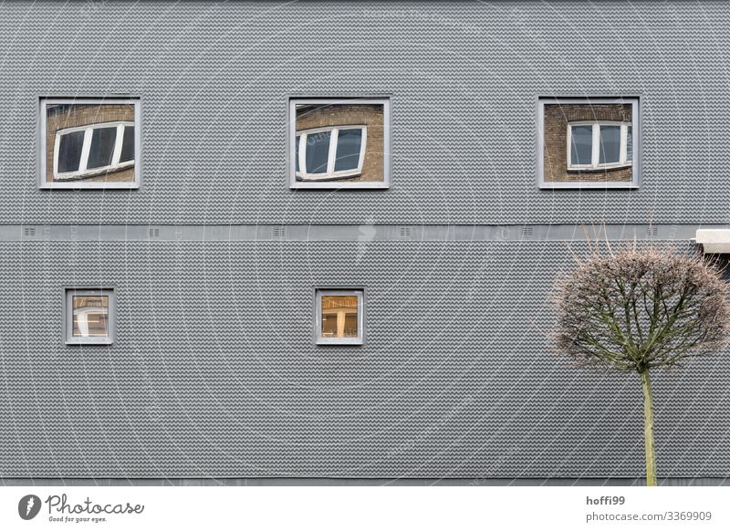 graue Fassade mit sich in Fenstern spiegelnden Fenster schlechtes Wetter Baum Gebäude Architektur Mauer Wand außergewöhnlich dunkel exotisch lustig modern trist